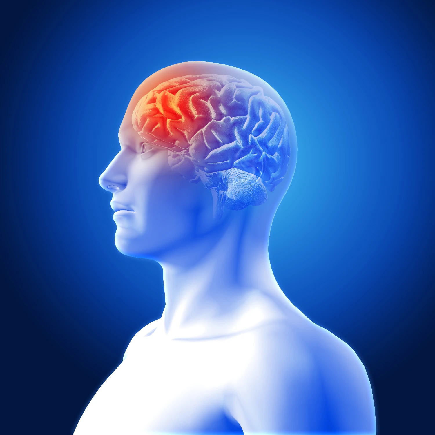 Headache Segment
