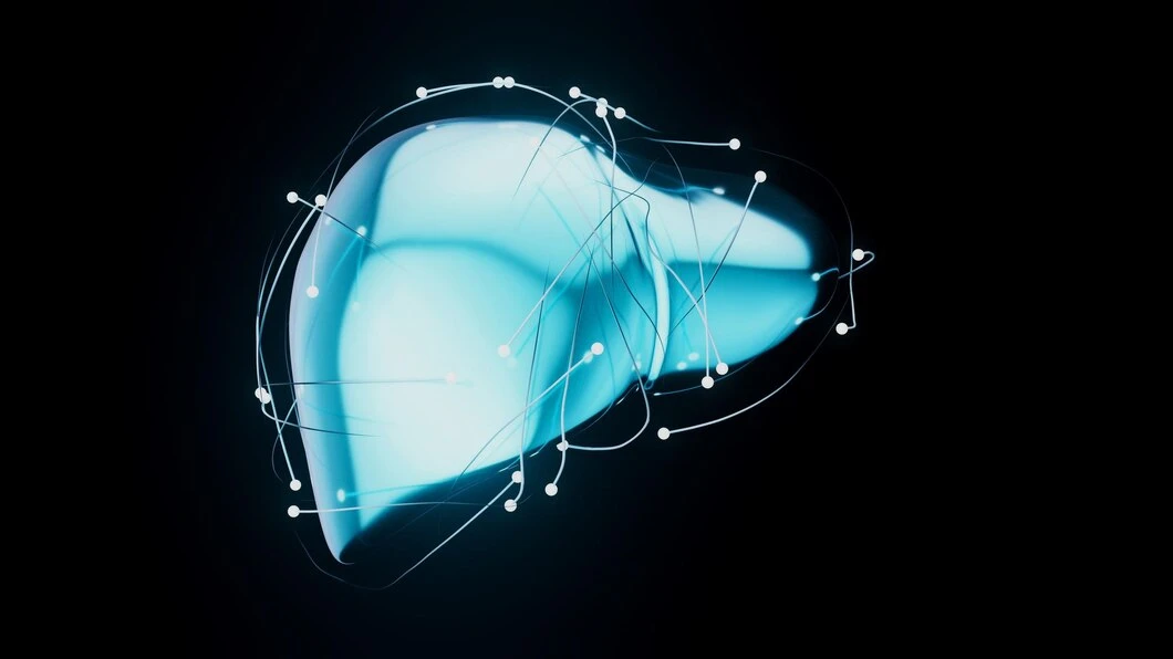 Liver Segments