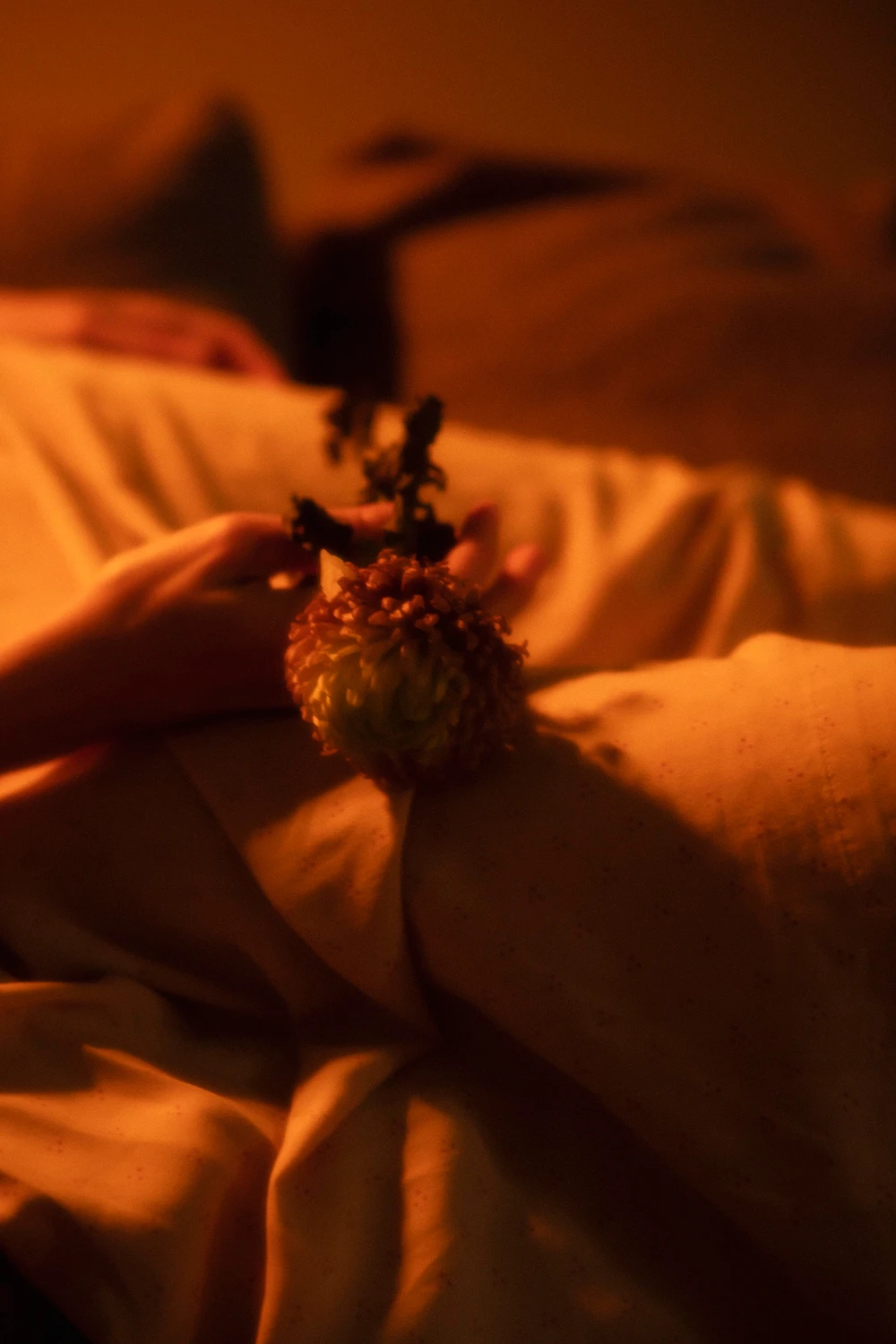 Libido Segment